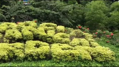 Davao Botanical Garden, The Life Is Here Park / Vlog .